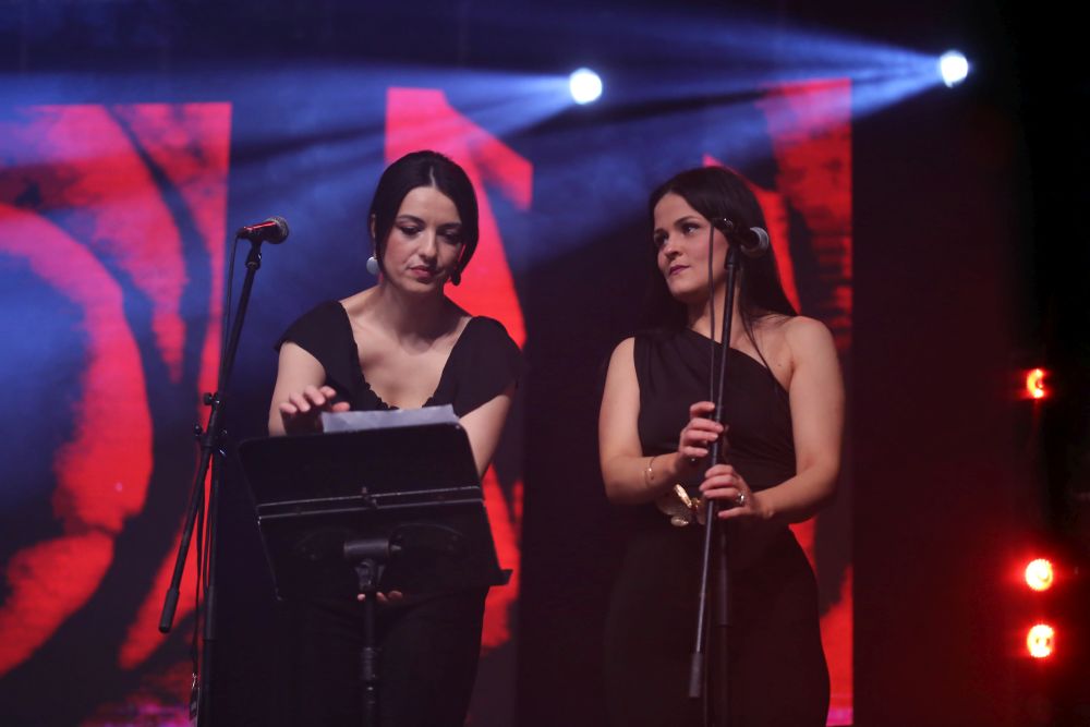 VIDEO Dalmatino održao veliki koncert na Gripama Dalmatinski portal