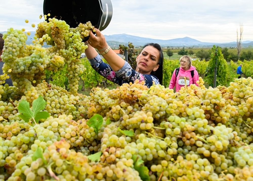 Brunette veb-kamera porno Ular omma oldida jinsiy aloqada bolishadi, hammaning koz ongida porno qilishadi.