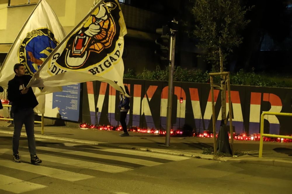 Mimohod za Vukovar | foto: Veljko Martinović
