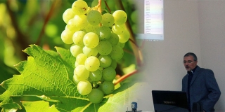 U Bolu na Braču održat će se 35. Sabatina