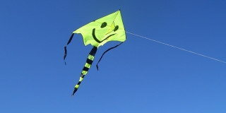 DNEVNIK NESTAŠNE GOSPOĐE: Upoznala san dalmatinskog zmaja, slobodnog čovika koji ima curu