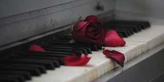 DNEVNIK NESTAŠNE GOSPOĐE: Kako sam Barbari rekla istinu i izgubila je...