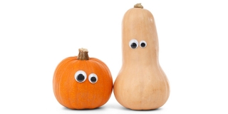 DNEVNIK NESTAŠNE GOSPOĐE: Ovo samo može napraviti muškarac glup kao tikva!