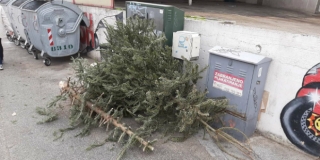 REKORD? Jelke kraj kontejnera na splitskim ulicama