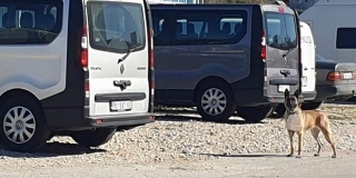 SPLIĆANKU ŠOKIRAO PRIZOR: 'To je naš grad, naš čovik, ako je uopće zaslužija da ga čovikom nazivam'