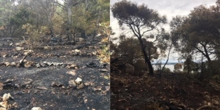 VIDEO Pogledajte kako nakon tjedan dana gašenja izgleda požarište u Milni