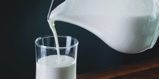 Poskupljenje mlijeka na pomolu? 'Štale su prazne, nema više mukanja'