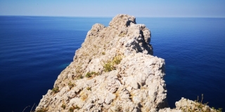 Istraživanje hrvatske populacije eleonorinog sokola