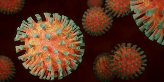 Evo kako će se epidemiološki provoditi jesenski rok državne mature