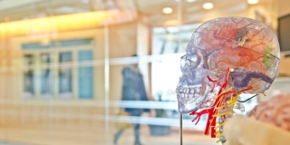 10 simptoma koji ukazuju na početak Alzheimerove bolesti - jedan je posebno vidljiv