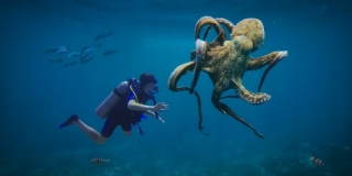 ZNANSTVENICI TVRDE Hobotnice su zapravo izvanzemaljci?