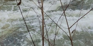 Tragedija na Kupi, utopio se maloljetnik