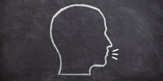 Disku(r)sija: Val Colic-Peisker i Nebojša Lujanović