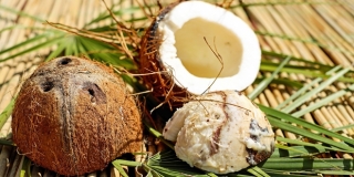 Kokosovo ulje: Svestrani saveznik ljepote, zdravlja i kuhinje