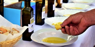 NESTAŠICA Maslinovo ulje doseglo najvišu cijenu u posljednja dva desetljeća