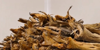 Omišani će na Badnjak uživati u domaćoj spizi