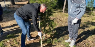 PULJAK PONOSAN:  Split će dobiti 2472 nova stabla
