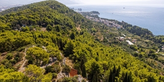 DOBRA VIJEST Nova stabla i klupe na Marjanu