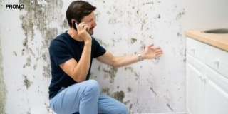 5 najčešćih pitanja o pojavi vlage i plijesni u kući i stanu