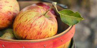 RECEPT Brzi kolač od jabuka