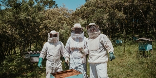 Australski znanstvenici otkrili novu vrstu pčele i nazvali je Lucifer