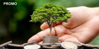 INVESTIRANJE ZA POČETNIKE: 4 zlatna pravila ulaganja za lak početak