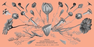 POZIV GRAĐANIMA: Prikupljanje građe o trogirskoj tvornici buhačevog praška Hamad, odnosno Biljani