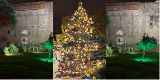 PRVI PUT Ovako izgleda 'najlipša živa jelka', okićena kraj Zlatnih vrata