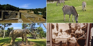 Brijuni, na kraju, pripadaju Radi Šerbedžiji, Nepalcima i potomstvu životinja poklonjenih Titu