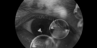 GALERIJA MKC Otvara se izložba 'More Than Human' multimedijalnog umjetnika Erica del Castilla