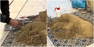 VIDEO Pas od pijeska u srcu Splita