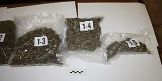 Mladiću u Rijeci iz SAD-a poštom stigla marihuana