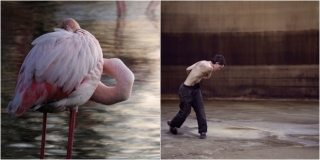 DOM MLADIH Otvorenje izložbe Anje Mergeduš i Sache Rey