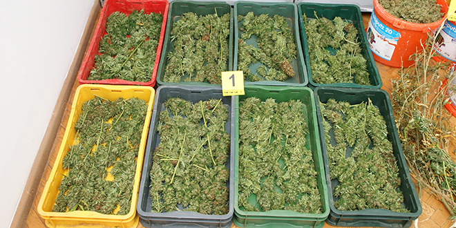 Marihuna doplutala do murterskog akvatorija, nagađa se da je bila u vlasništvu albanske mafije