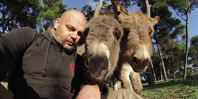 APEL S MARJANA: 'Dva konja umrla su mi na rukama, trećeg smo uspavali, nudim 10.000 kuna za trag do počinitelja'