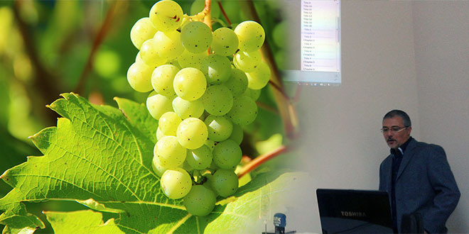 U Bolu na Braču održat će se 35. Sabatina