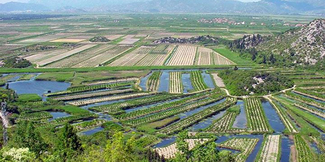 TUGA NA NERETVI Tragičan kraj potrage za 91-godišnjom ženom