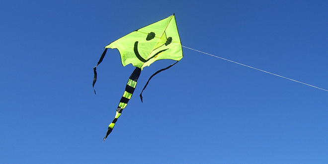 DNEVNIK NESTAŠNE GOSPOĐE: Upoznala san dalmatinskog zmaja, slobodnog čovika koji ima curu