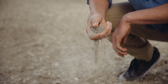 DNEVNIK NESTAŠNE GOSPOĐE: Kada te s bivšom ljubavi veže jedna tajna operacija...