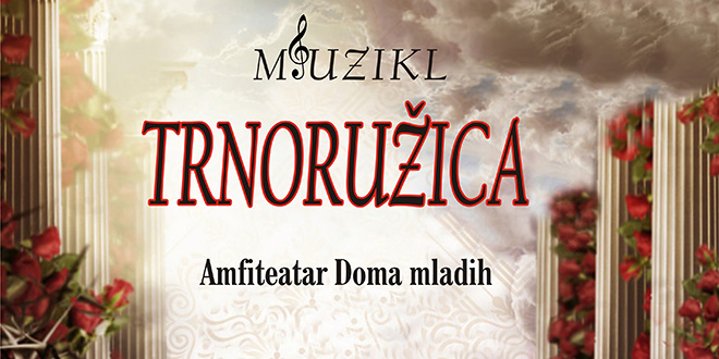 Studio danSing pripremio novi mjuzikl: Večeras premijera Trnoružice, uživajte u izvedbi djece na sceni Doma mladih!