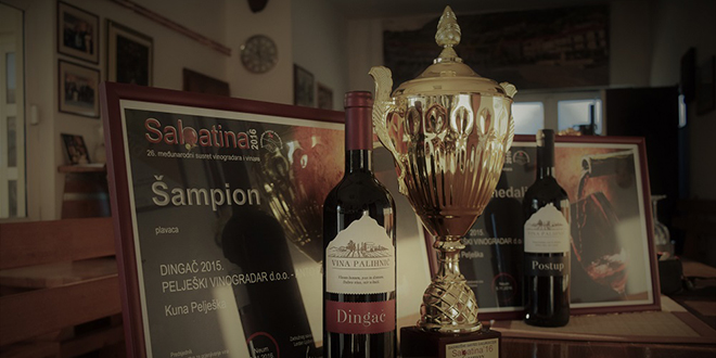 Pelješki vinogradar: Obiteljska tvrtka koja stvara šampionska vina