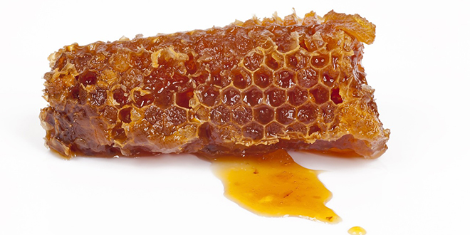 Dinara med: Naš kraj je idealan za pčelarstvo