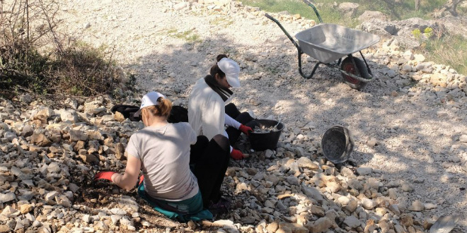 Volonteri i ovog proljeća uređuju parcele na arheološkom lokalitetu Colentum