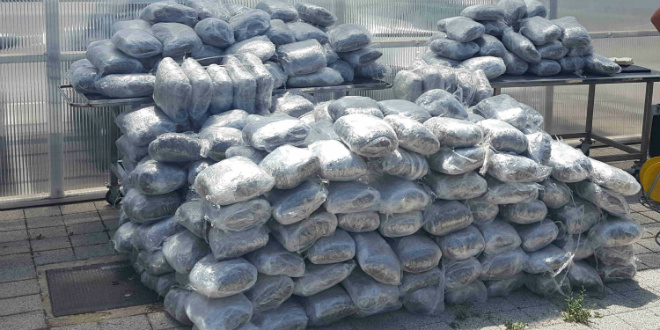 OVOGODIŠNJI REKORD Dubrovačka policija zaplijenila najvrjedniju količinu droge