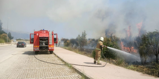 Požar na Žnjanu, zapaljena trava i otpad