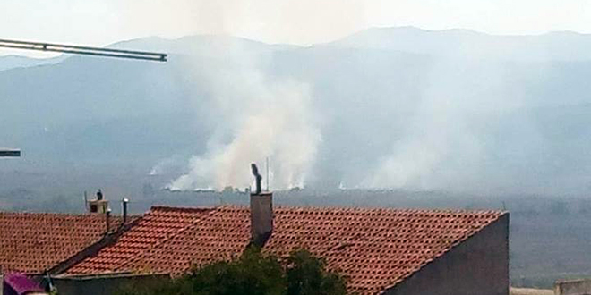 Lokaliziran požar u Runovićima