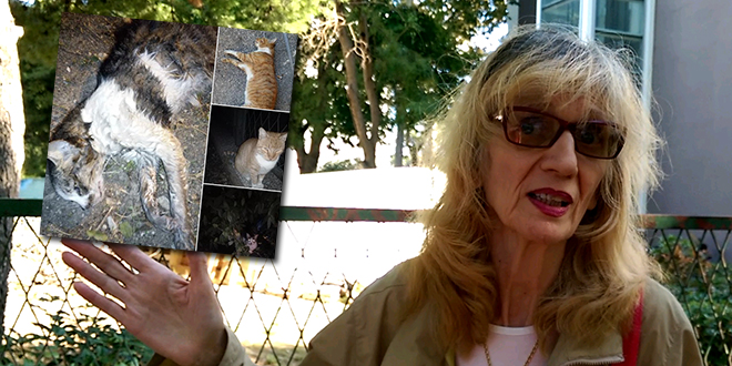 ZA KOGA JE PISAN ZAKON? Otrov od kojeg su uginule mačke ostavljen kraj dječjeg vrtića, splitsku policiju slučaj uopće ne zanima