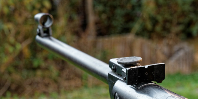 UŽAS KOD VINKOVACA Iz puške koju je ilegalno posjedovao ubio psa