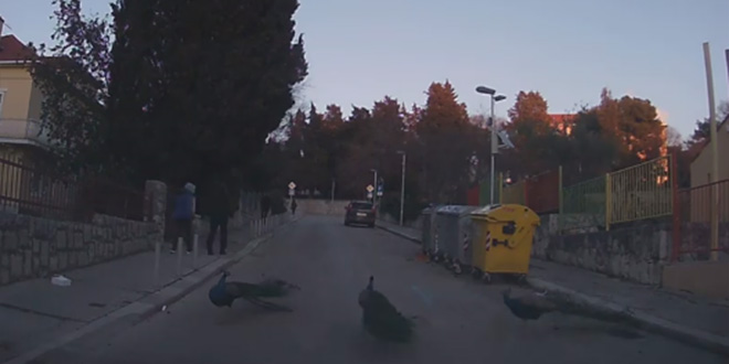 VIDEO: Najnoviji žestoki obračun na splitskim ulicama!