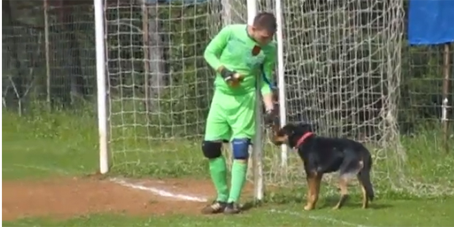 VIDEO: Ovo ima samo u Dalmaciji, vratar usred utakmice hrani psa, dok ekipa uz aut-liniju pije i gradelaje!